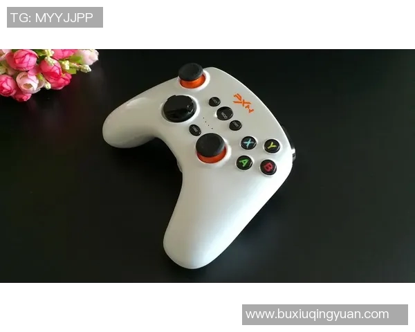 esports数据刘丽独家分享CSGO游戏心得与技巧助你提升竞技水平